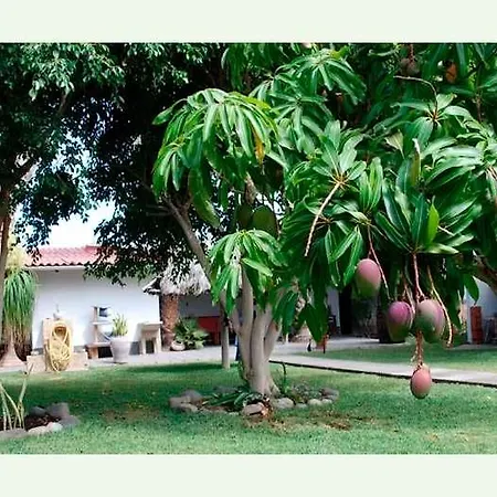 Gemutlicher Bungalow Auf Finca - F4043 - #92422