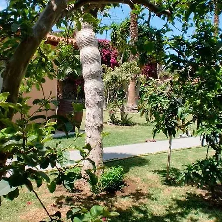 Gemutlicher Bungalow Auf Finca - F4043 - #92422 *