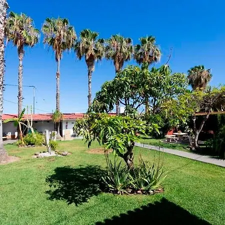 Gemutlicher Bungalow Auf Finca - F4043 - #92422 * Icod De Los Vinos